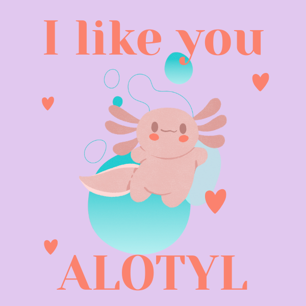 I like you ALOTYL Magnet