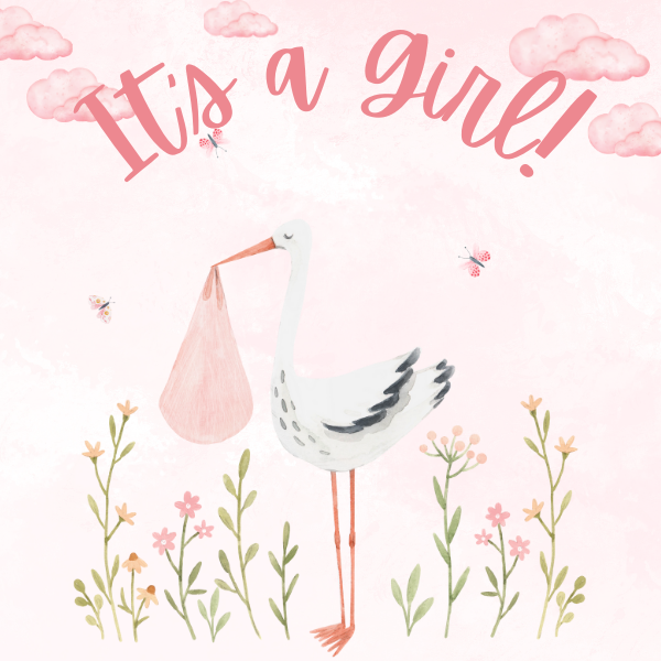 It's a Girl! Magnet